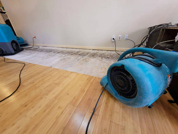 Professional Burst Pipe Water Damage technician working in Lemon Grove, CA
